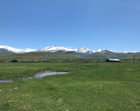 ranch to table antique image