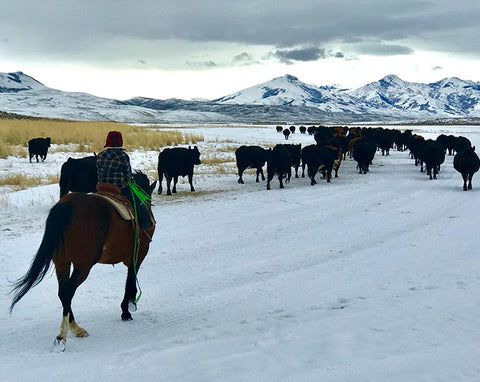ranch to table antique image