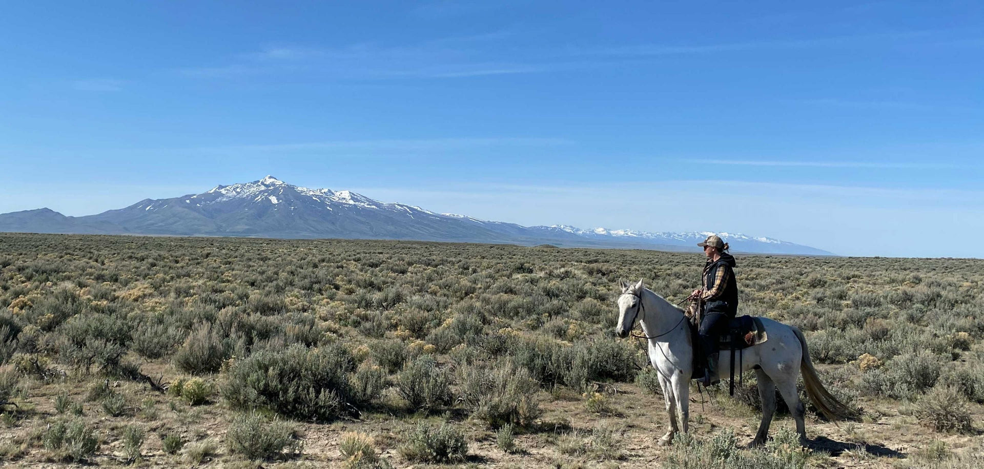 ranch to table image of farmer and mountain