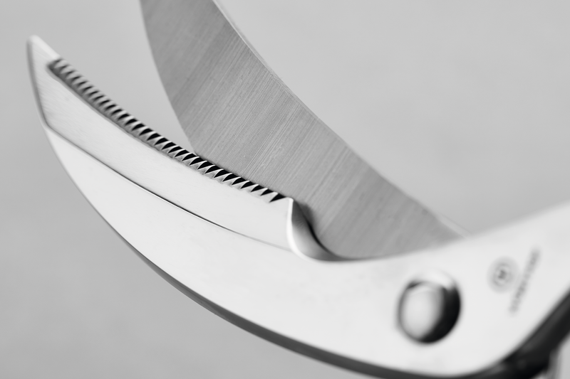 Stainless Poultry shears 25 cm | 10 inch